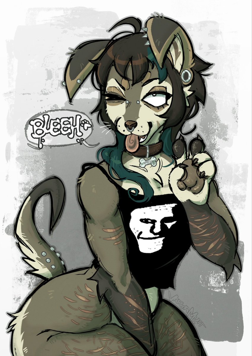 doglet 🐾 tweet media