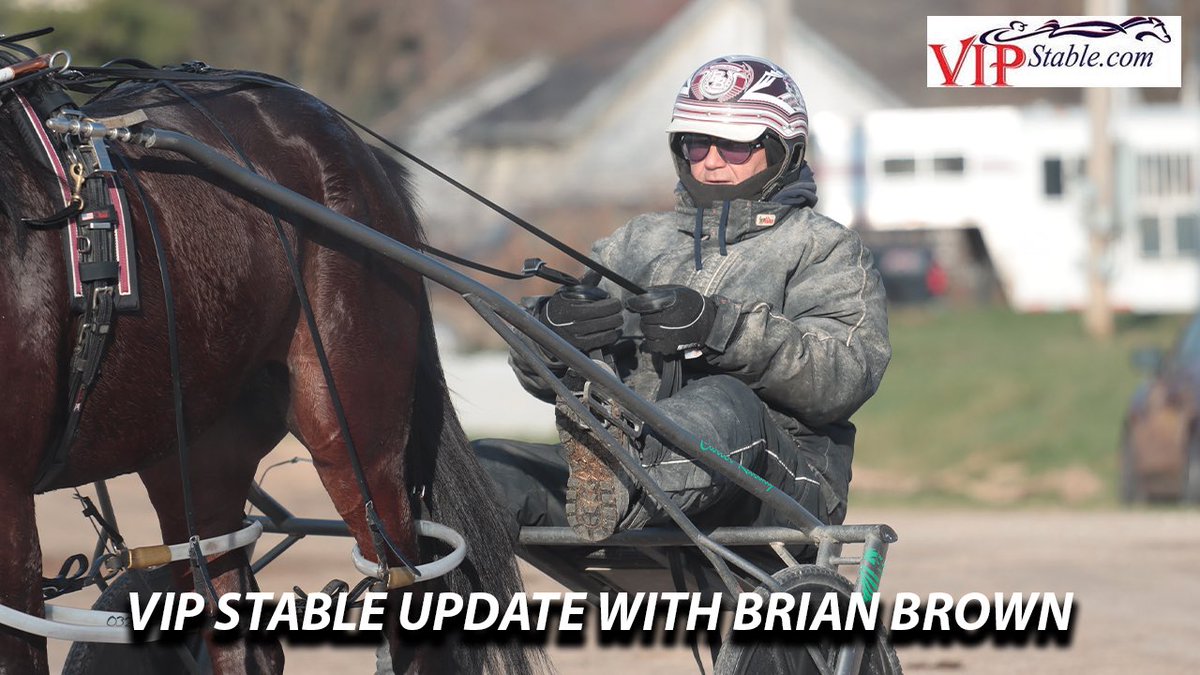 VIP Stable tweet media