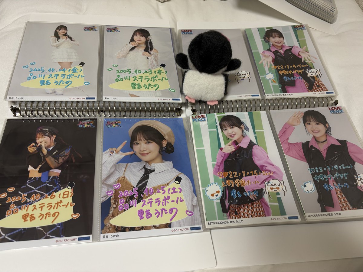 こがたペンギン tweet media