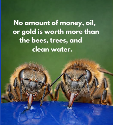 Robin Giddings Writes tweet media