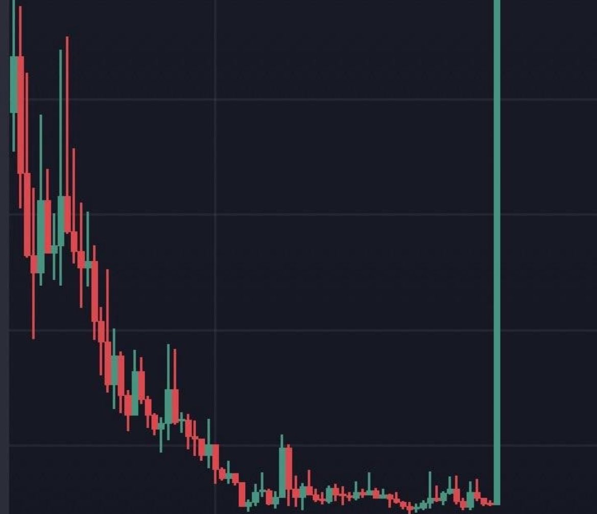 PumpKing tweet media