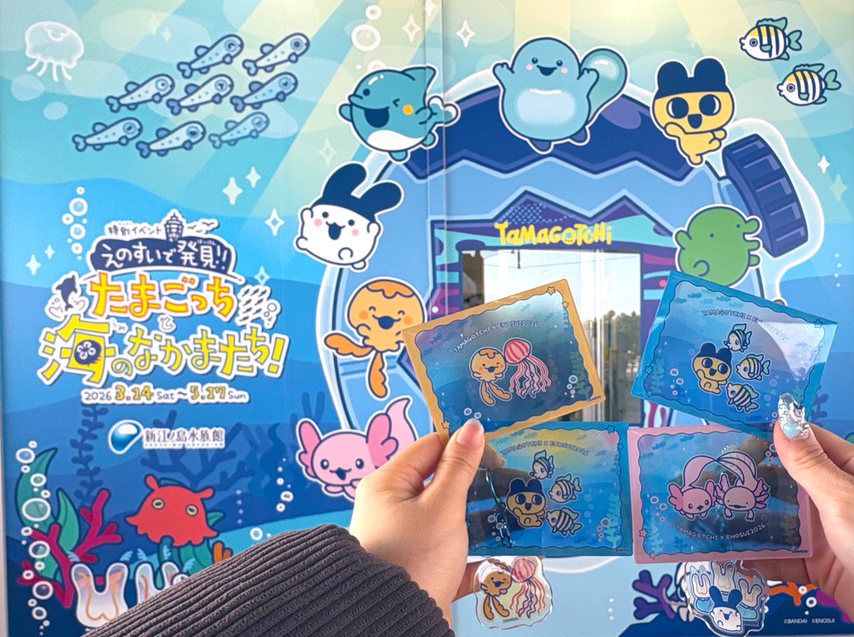 ちゃの tweet media