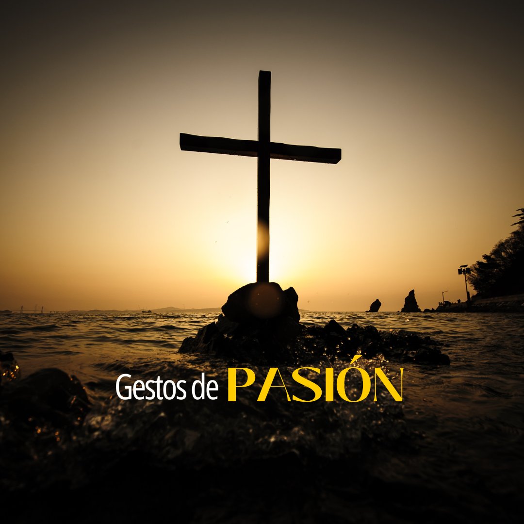 Compañía de Jesús tweet media