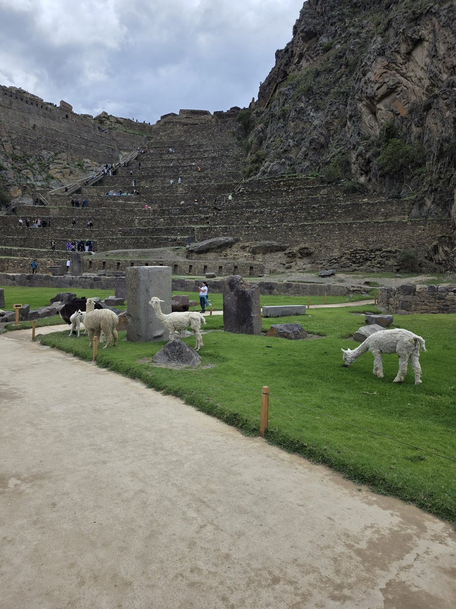 FK Železničar Inđija tweet media