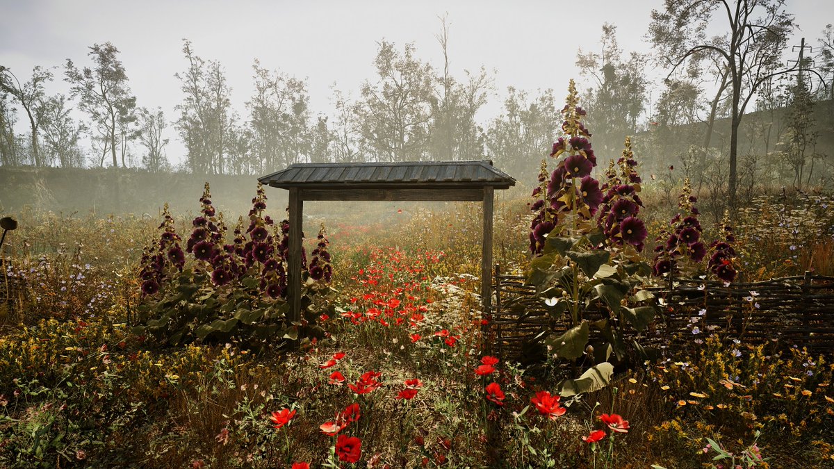 François 🎮📸 tweet media