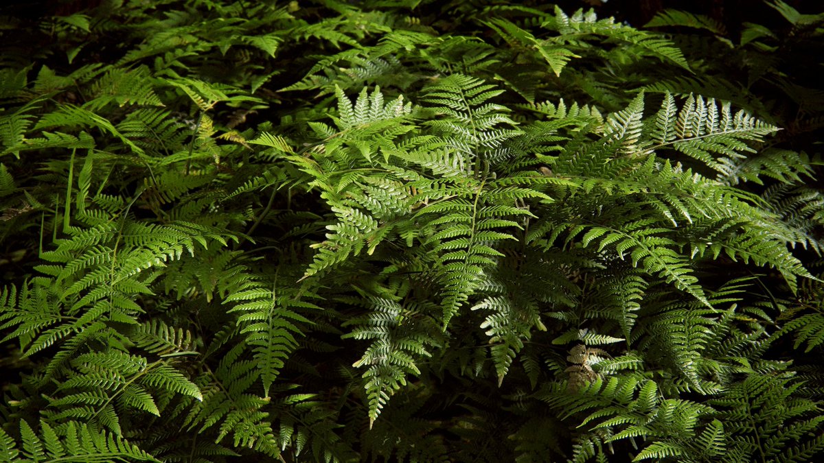 François 🎮📸 tweet media