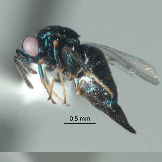 Scott P. Egan tweet media