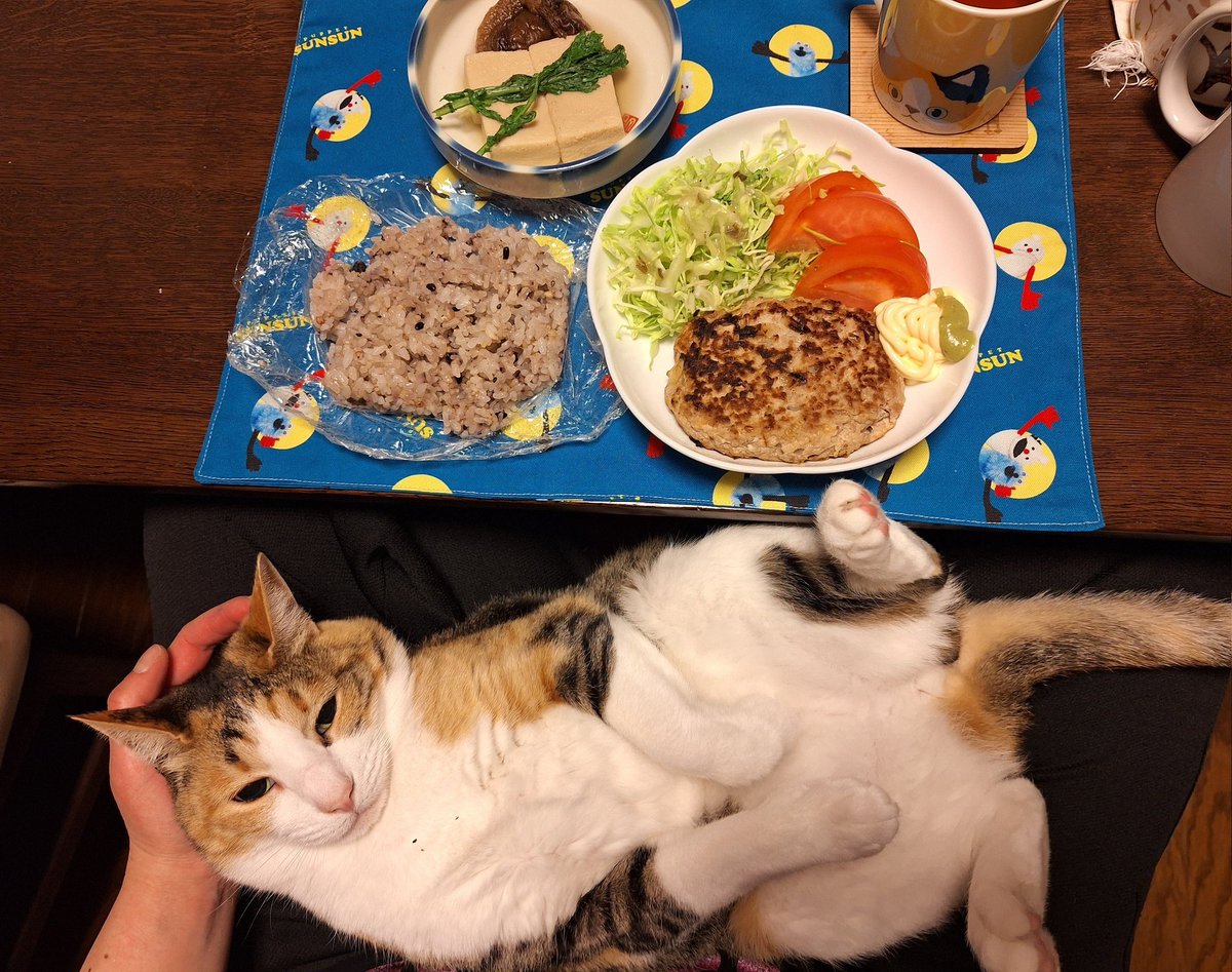 kawaii_nekoniko's tweet photo. 豆腐ハンバーグ雑穀米こうや豆腐たべました https://t.co/ynY1YVW7bf