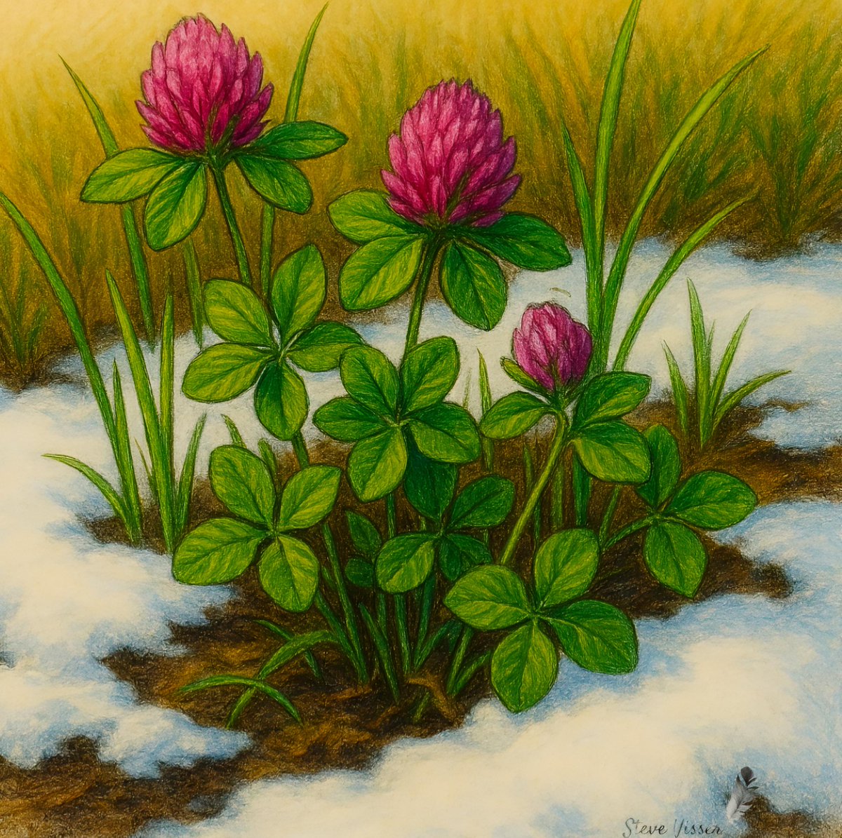 starbeam.one tweet media