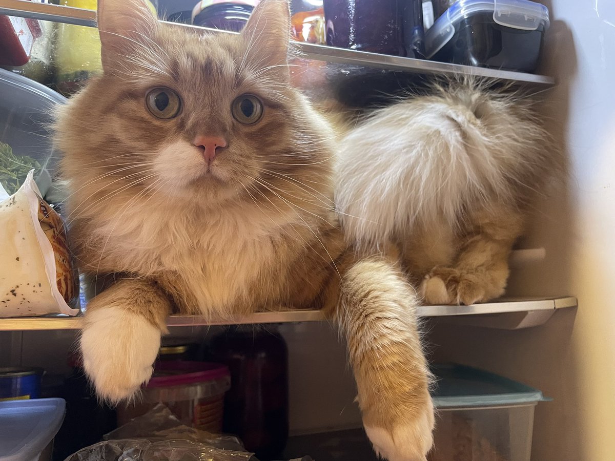 Zane Radzobe tweet media