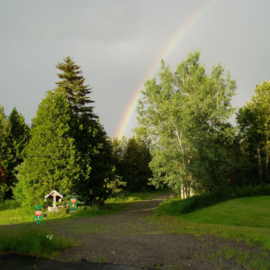 Kait Carson tweet media