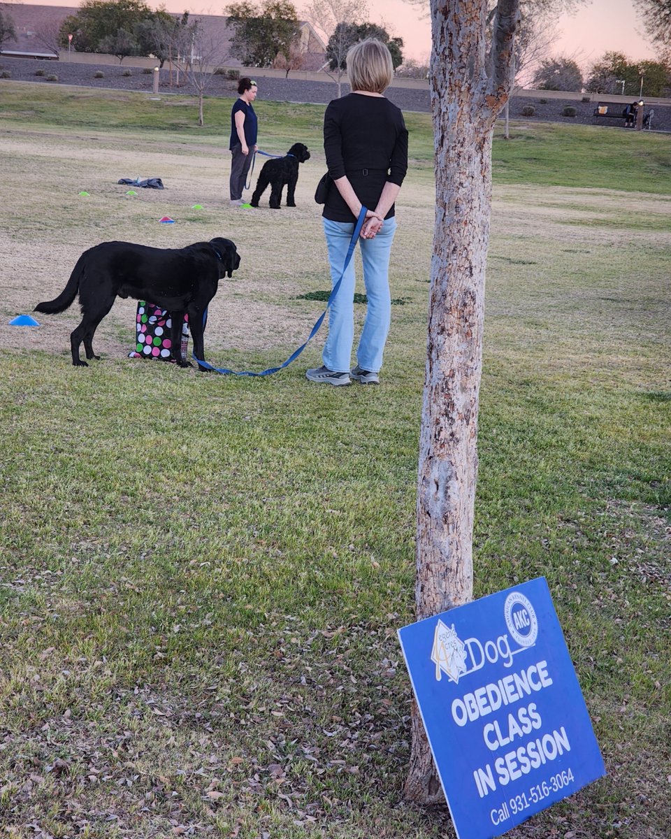 LegendAcres's tweet image. Every learning journey begins with understanding, not obedience.
Today’s training focus: communication before cues — skill before suppression.
#LegendAcres #ForceFreeTraining #DogBehavior #SkillFirst