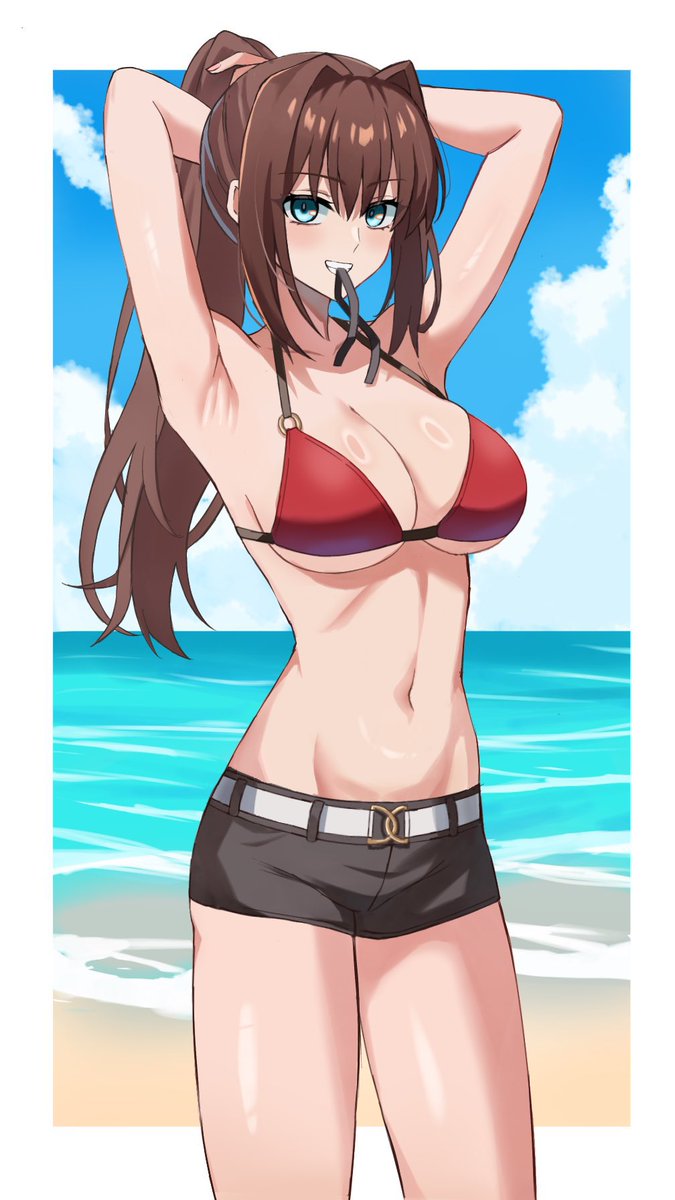 これがやりたかった…
水着四大ヒロインズ! 