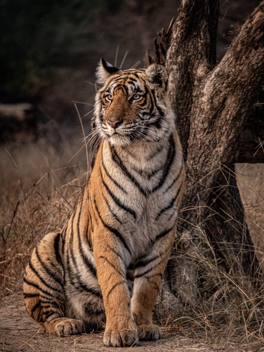 Discovery tweet media