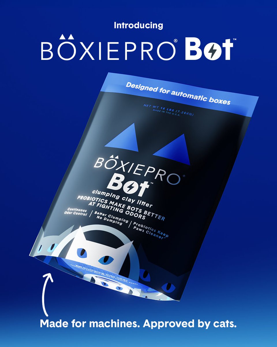 Boxiecat tweet media