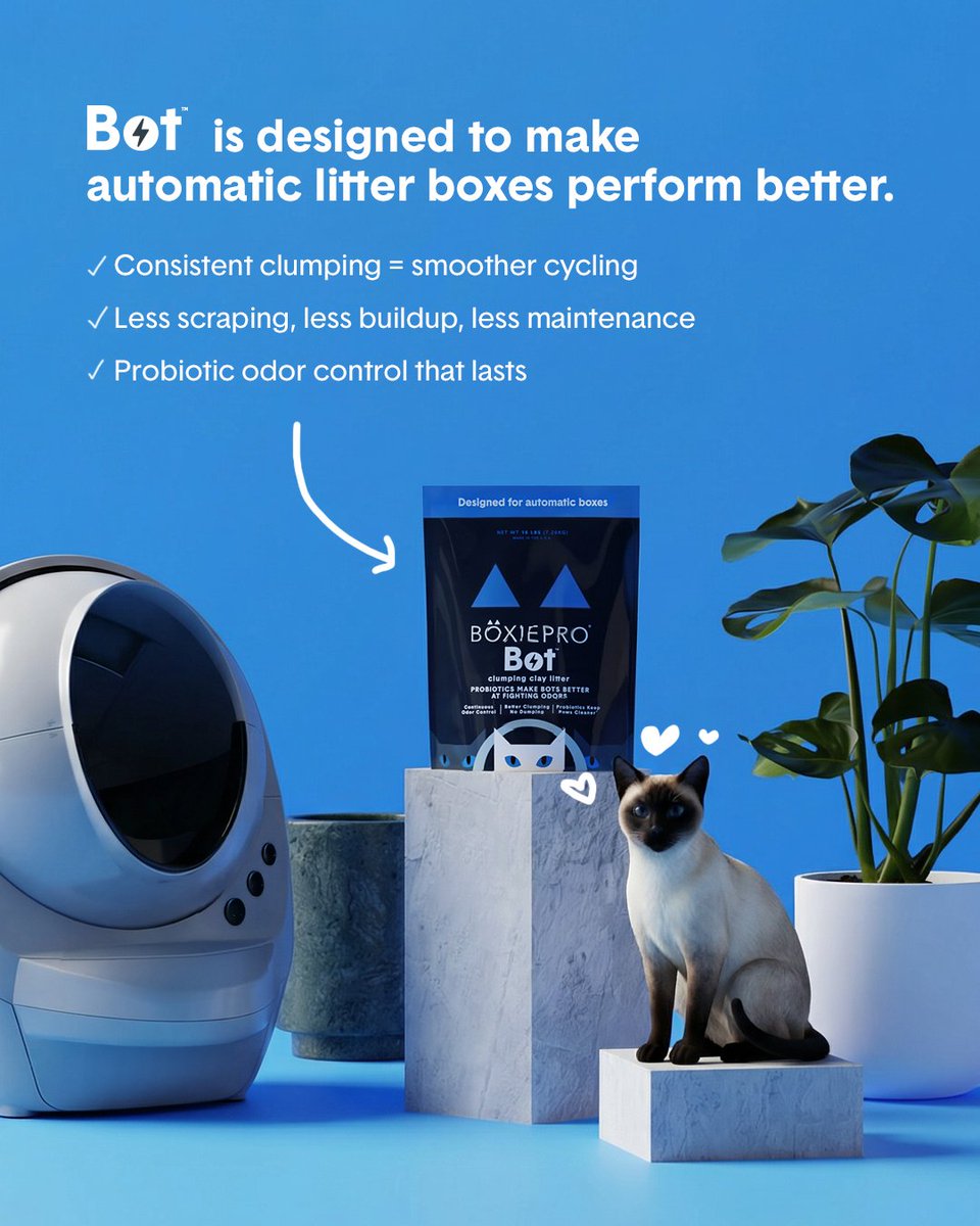 Boxiecat tweet media