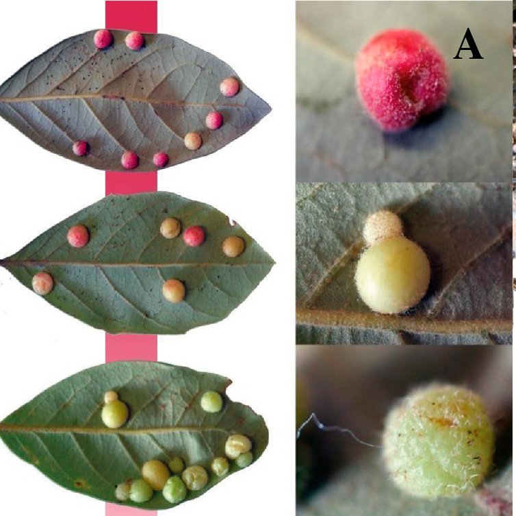 Scott P. Egan tweet media