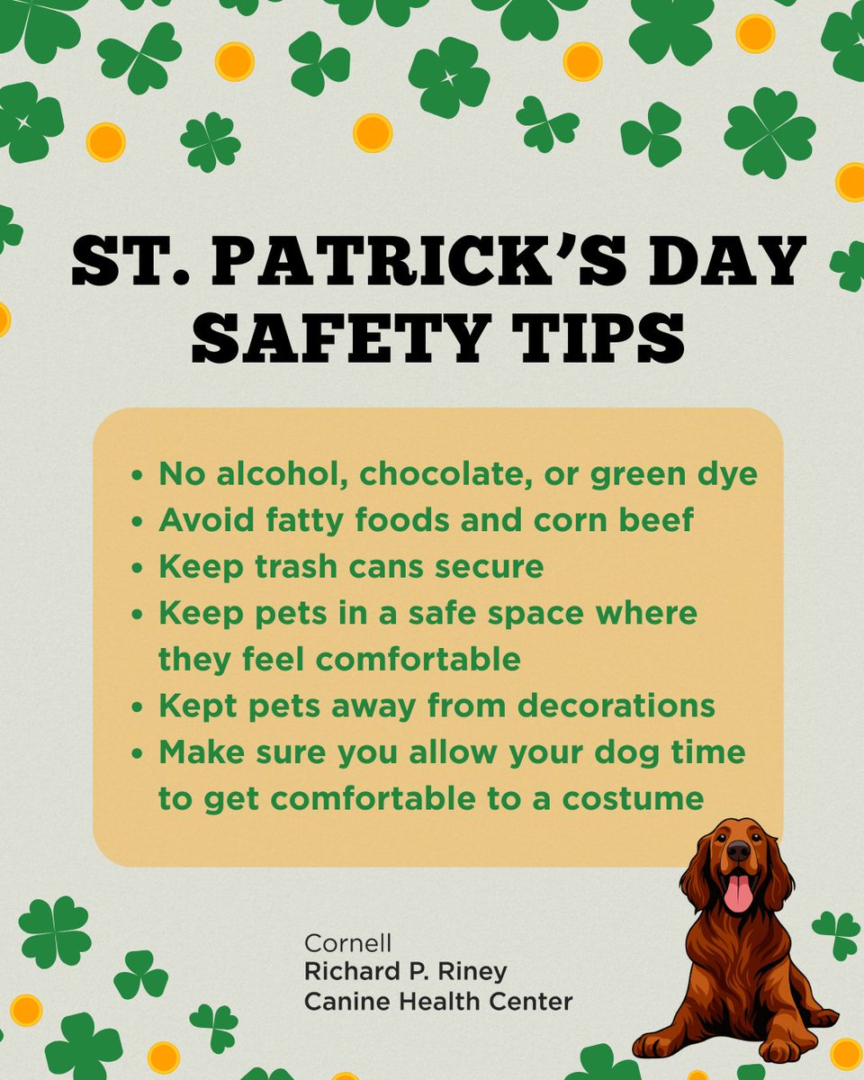 Cornell Riney Canine Health Center tweet media