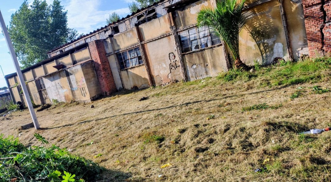 Américo Raúl Puga Espinosa tweet media