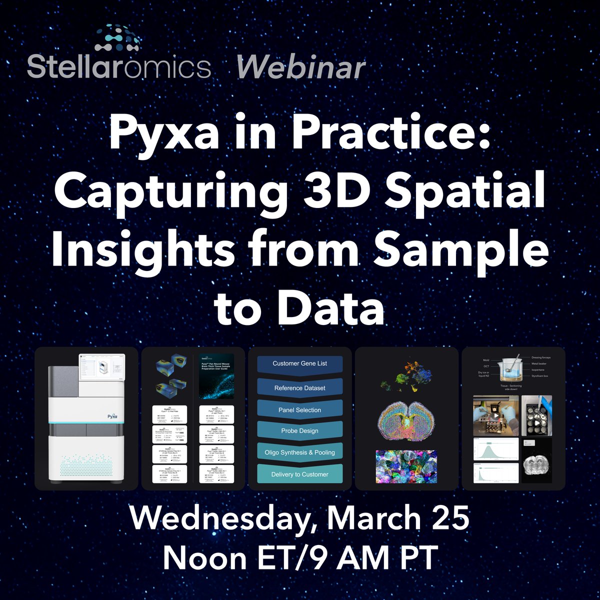 Stellaromics tweet media