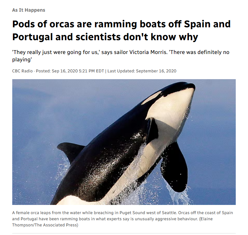 RAW EGG NATIONALIST tweet media