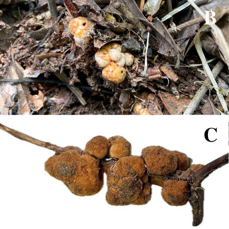 Scott P. Egan tweet media