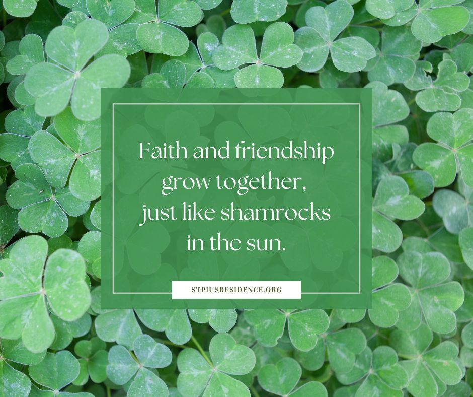 CMA News tweet media