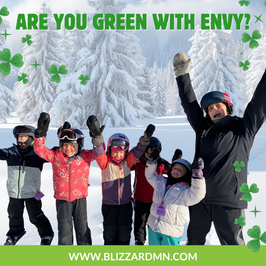 Blizzard MN tweet media