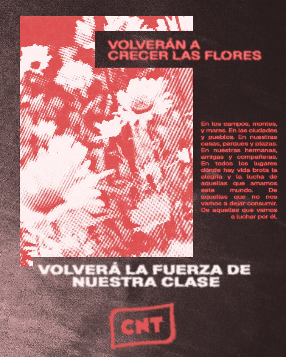 Black Hand tweet media