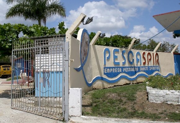 Empresa Pesquera de Sancti Spíritus, PescaSpir, trabaja en la diversificación de sus surtidos a partir de una producción cooperada con el sector no estatal. <a href="/AlbertoLopezc/">A. López</a>
minal.gob.cu/noticias/empre…