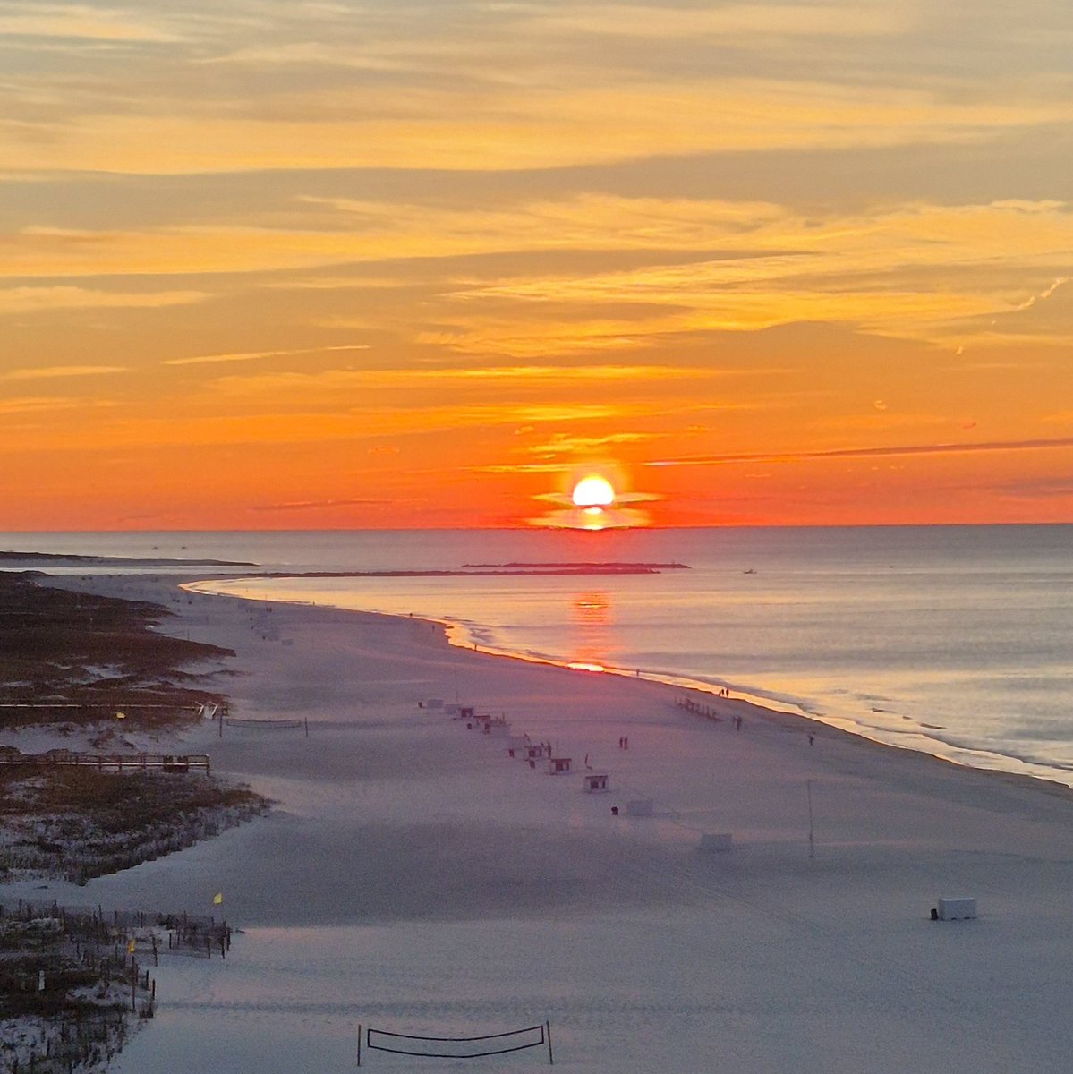 Dragonlady tweet media