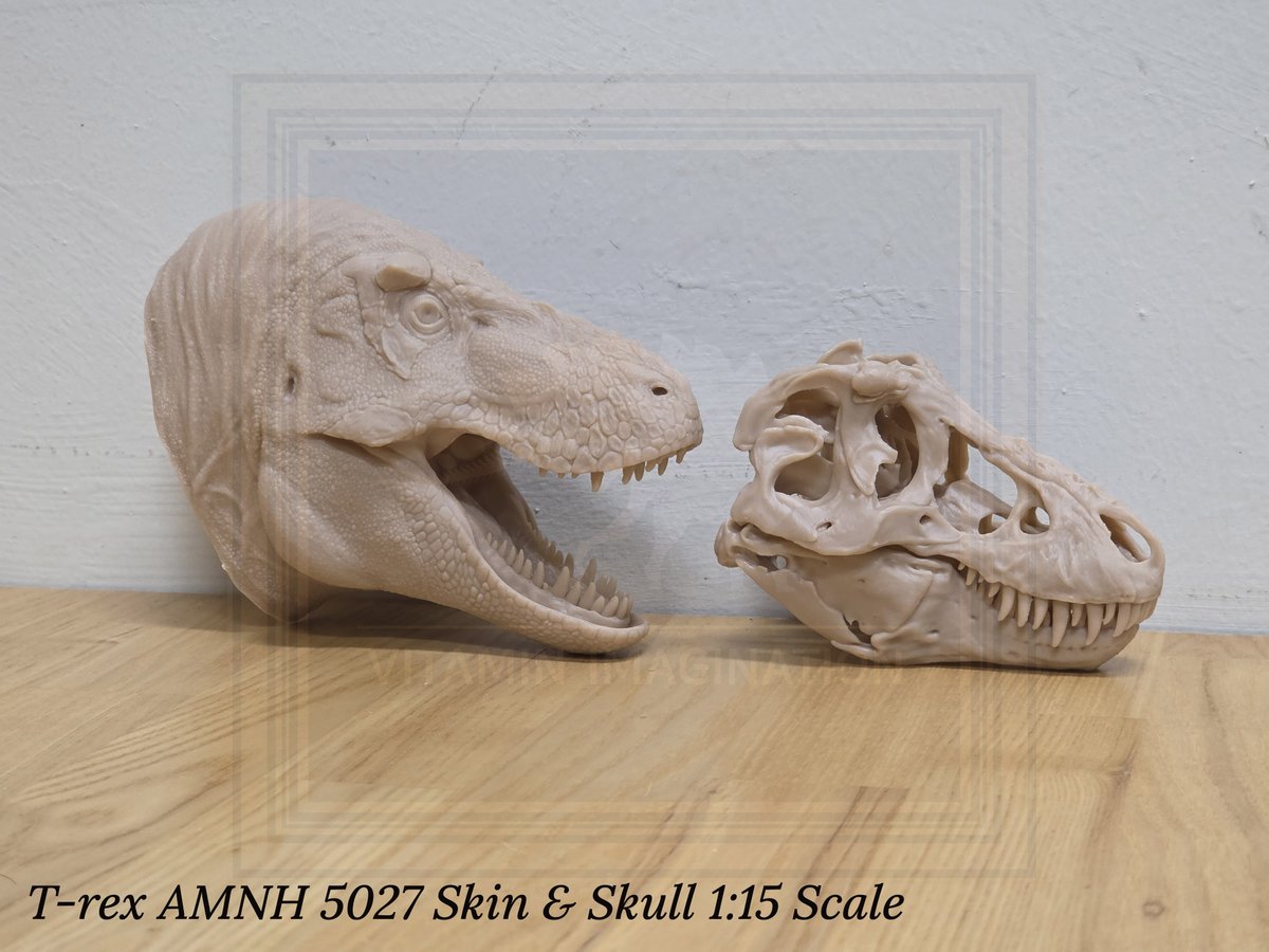 vitaimagination's tweet image. T-rex AMNH 5027 Skin &amp;amp; Skull 1:15 Scale. This product left for Poland today.
I also create and sell a variety of dinosaur and skeletal models, so if you’re interested, please feel free to send me a message anytime.

#Trex #Tyrannosaurus #AMNH5027 #3Dprint #Scalemodel