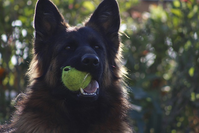 Jeremy Moorehead tweet media