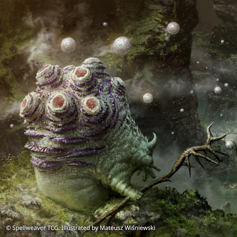 Mateusz Wiśniewski tweet media