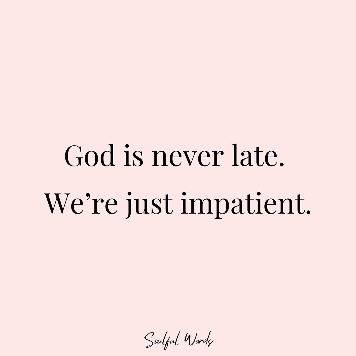 Dawn Guzik tweet media