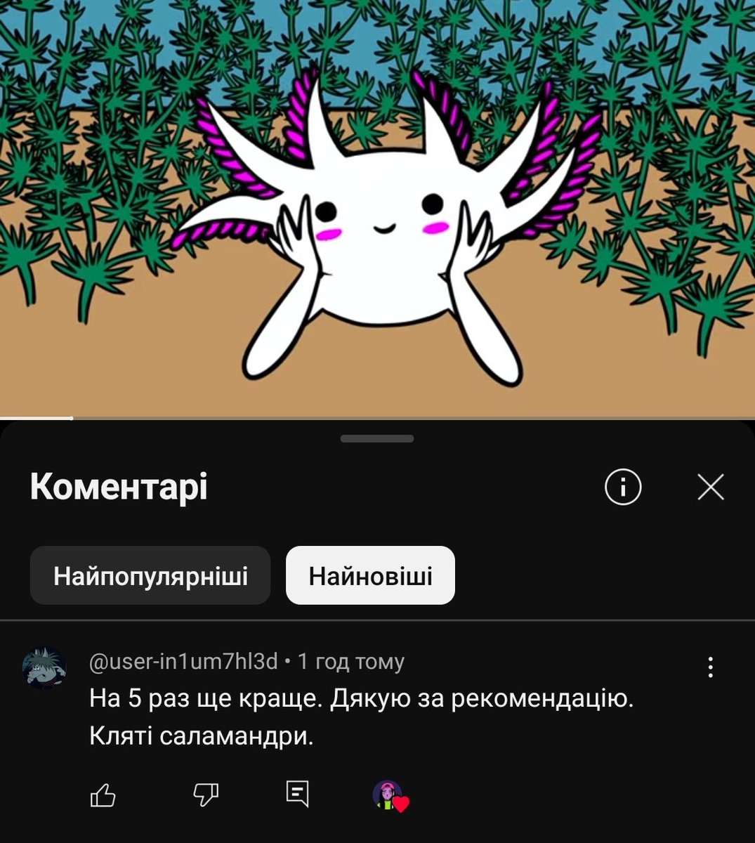 Стас Корольов tweet media