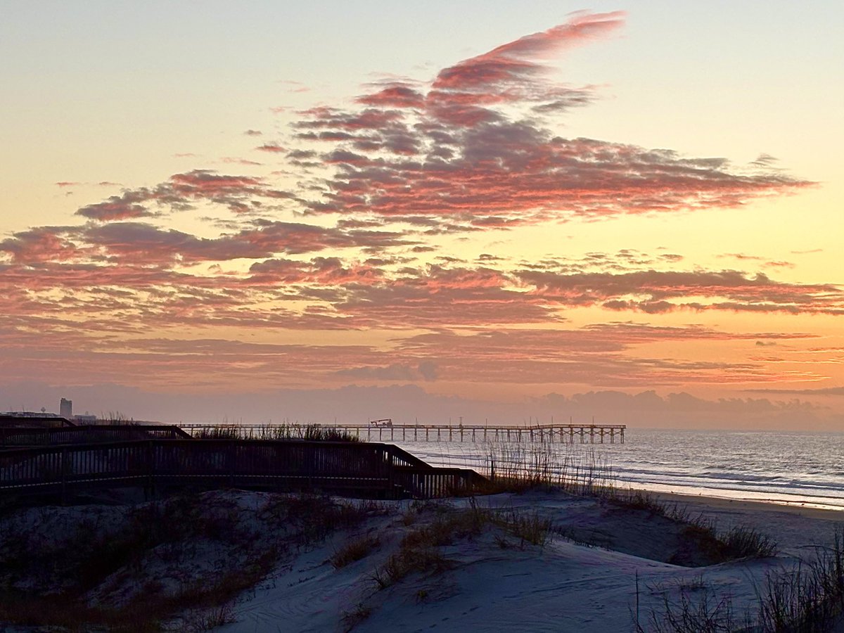 Mark Moore tweet media