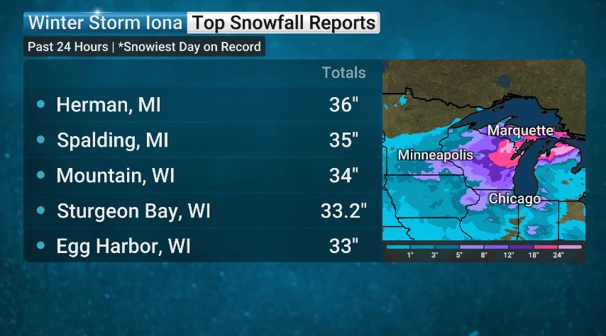 Jordan Steele tweet media