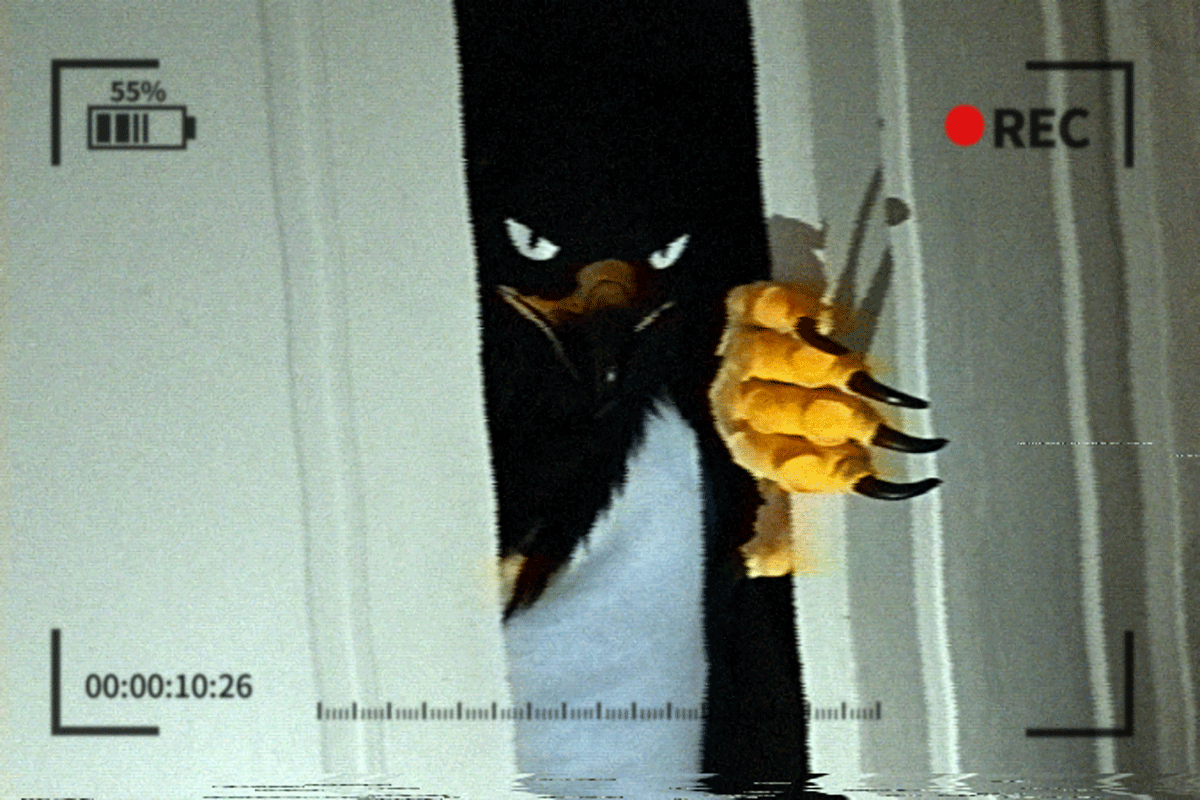 TAN🦅🔜Furst Class tweet media