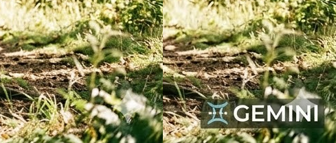 Aditya Madanapalle tweet media