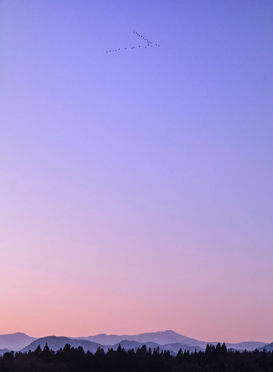 noyamA_daiSuki's tweet photo. 大旋回
県境を目指すハクチョウさん∧( 'Θ' )∧
佳き夕刻
飯豊山
#空ネット 
#わたしの飯豊フォト 
#北帰行 
2026/3/16 17:48 https://t.co/eJX6gd20tX