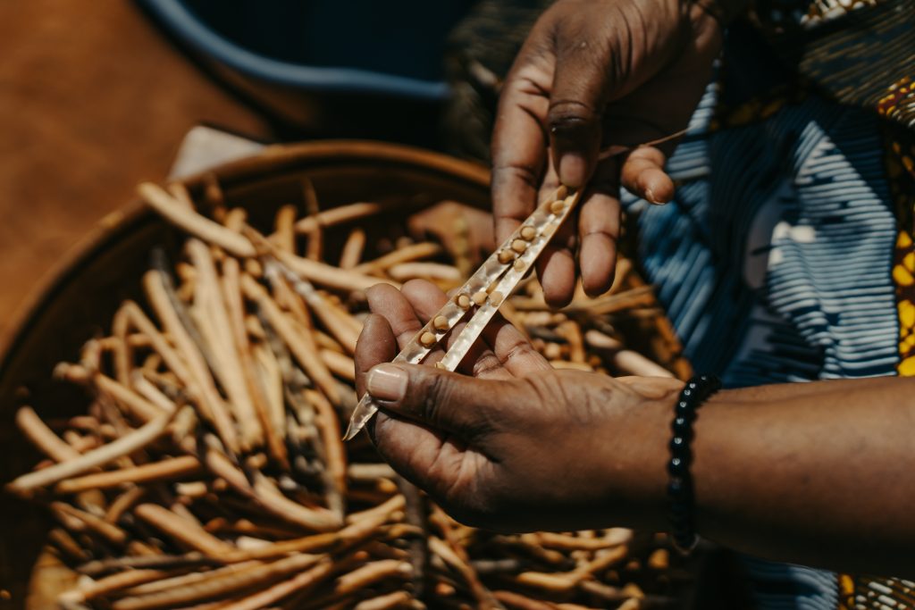 African Food Fellowship tweet media