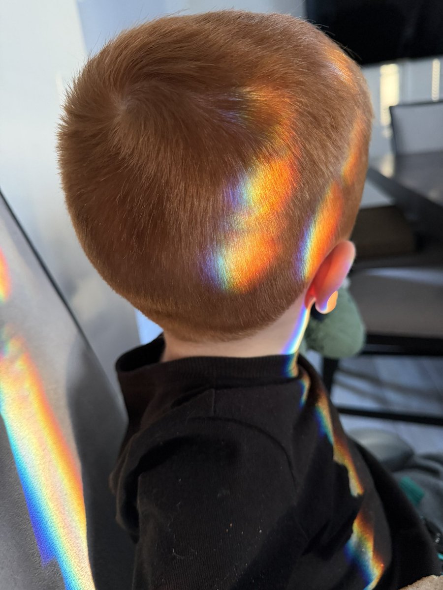 The Under Doge tweet media