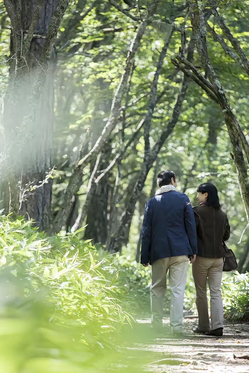 Rashaad Williams tweet media