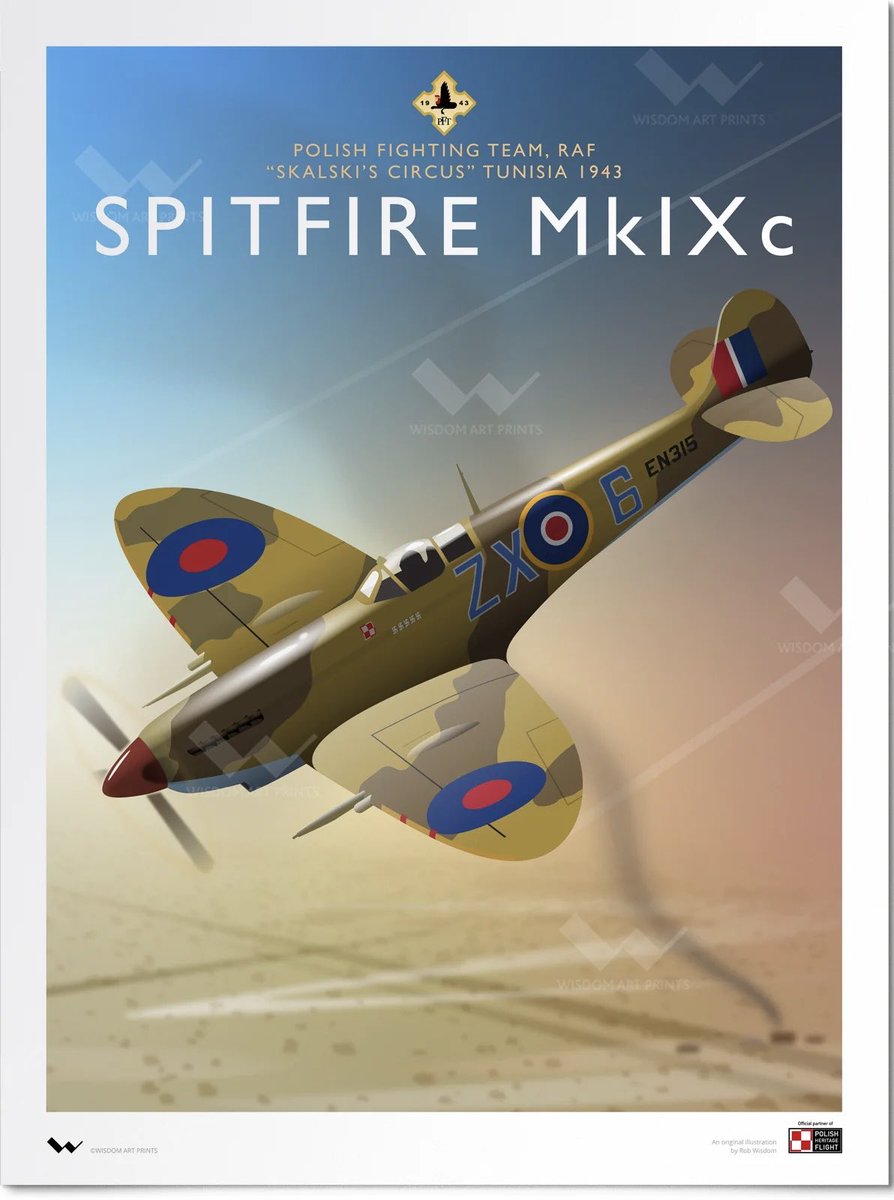 Polish Heritage Flight tweet media