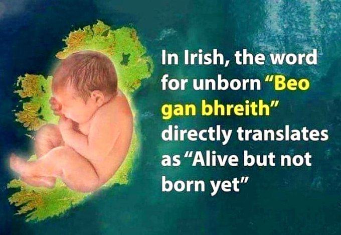 LifeNews.com tweet media