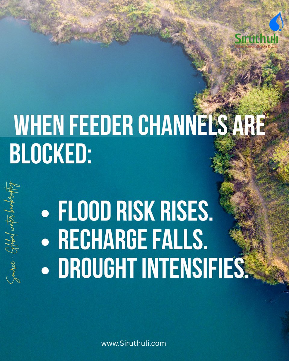 PART 1
The Noyyal is not just a river.
It is a network of tanks, feeder channels and catchments.

When this network functions, it moderates both floods and drought.

When it fails, the extremes intensify.

Restoration is not beautification.
It is water security.

#Noyyal