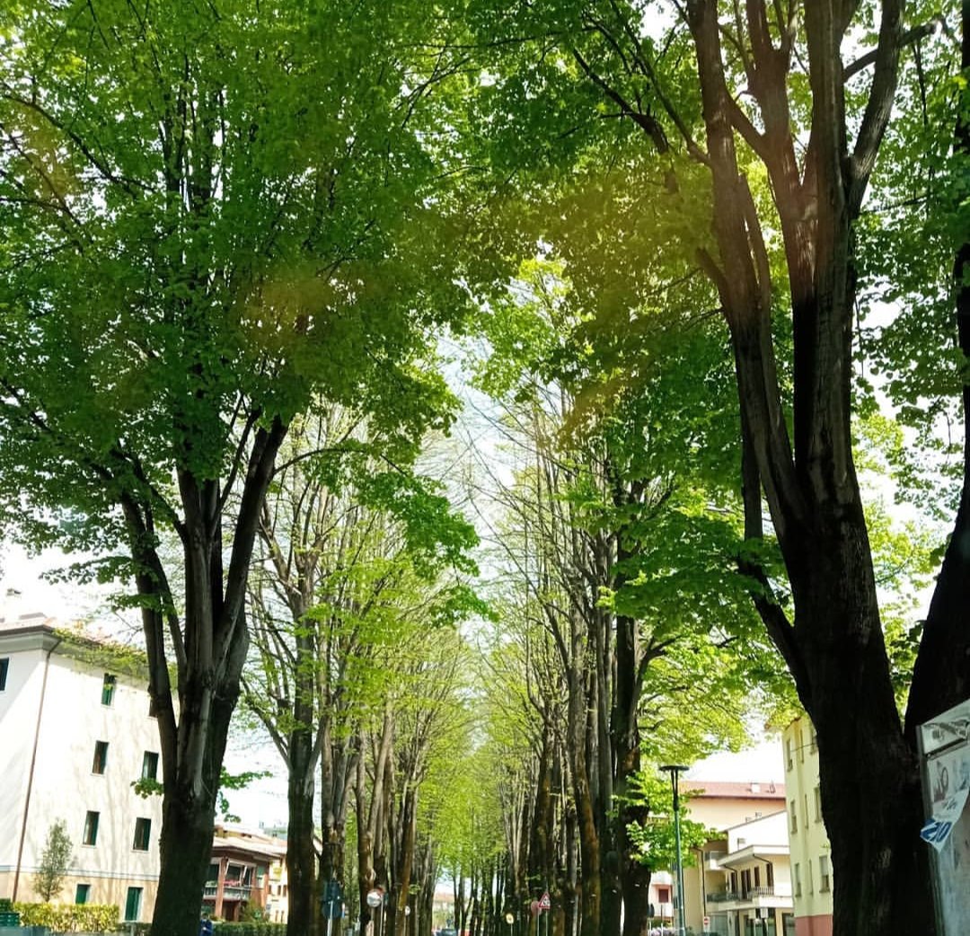 GiulyDary's tweet photo. My 📸 (10/5/2021) #Oderzo

La Saggezza ..Privilegio di Platino per pochi e colei che ti indicherà la strada con decisione e fermezza. Giuly Dary💌

#GiulyDaryVibrazioni
#PoetaGiuliaDario
#NatureVibes

@dario_giulia_giuly_dary @giulia_dario95 https://t.co/Lj3qK1f5BP