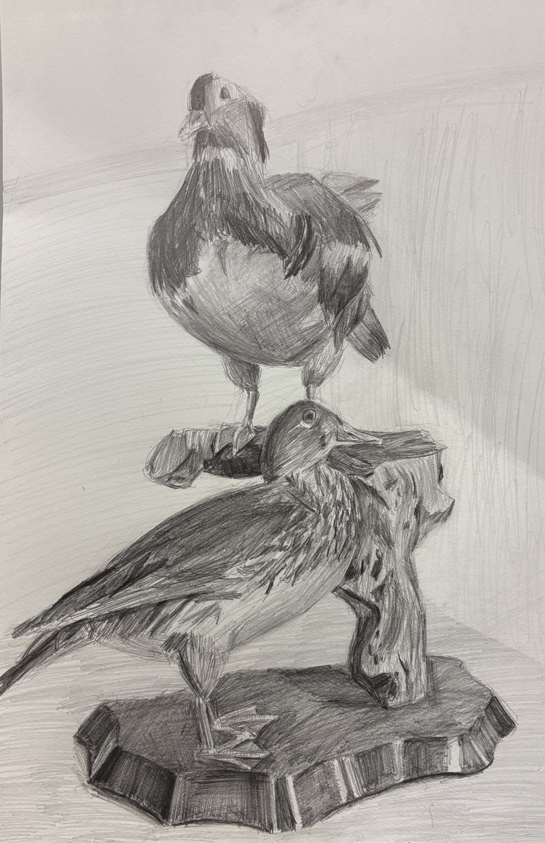 Touhi_07's tweet photo. 2025.11.25
#drawing https://t.co/MbJurV5K2d