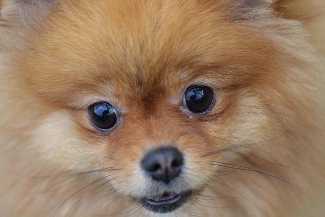 上岡正明@著書31冊×10億投資家×登録者58万人YouTuber@Leroy Leos tweet media